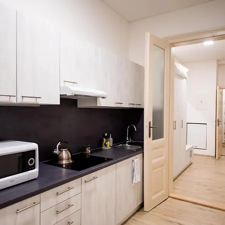Velke Namesti Apartment *